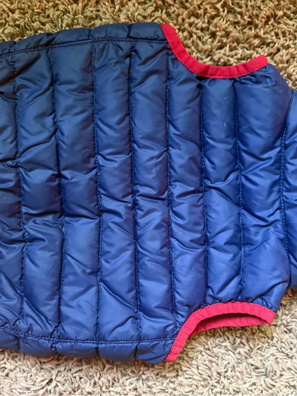 Ralph Lauren cutest vest